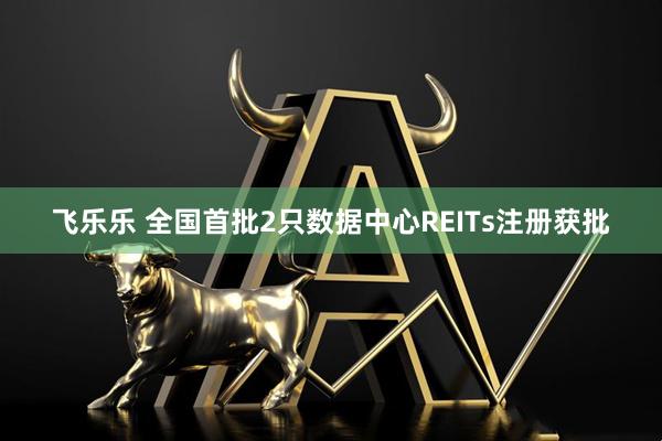 飞乐乐 全国首批2只数据中心REITs注册获批